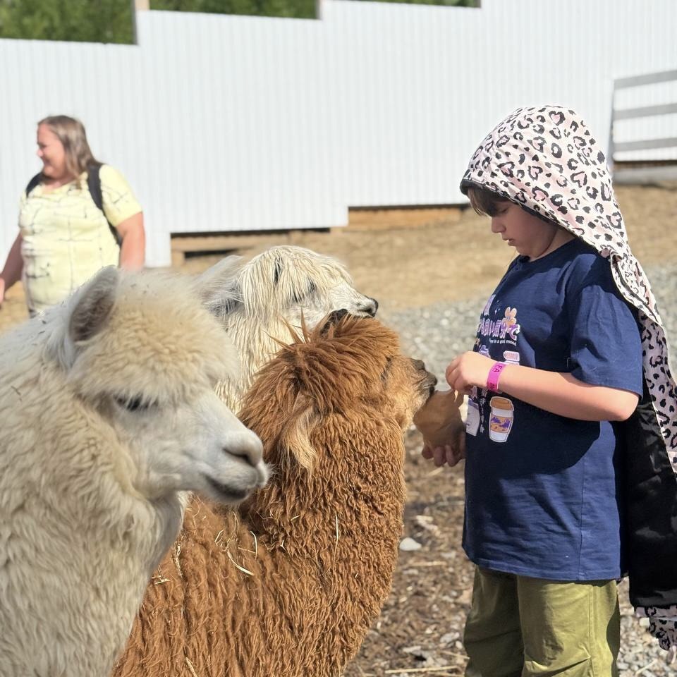 Дирекция курорта Шерегеш